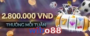 wibo88